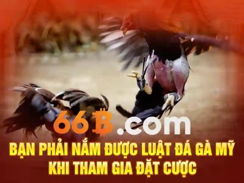 Giới thiệu về 66b