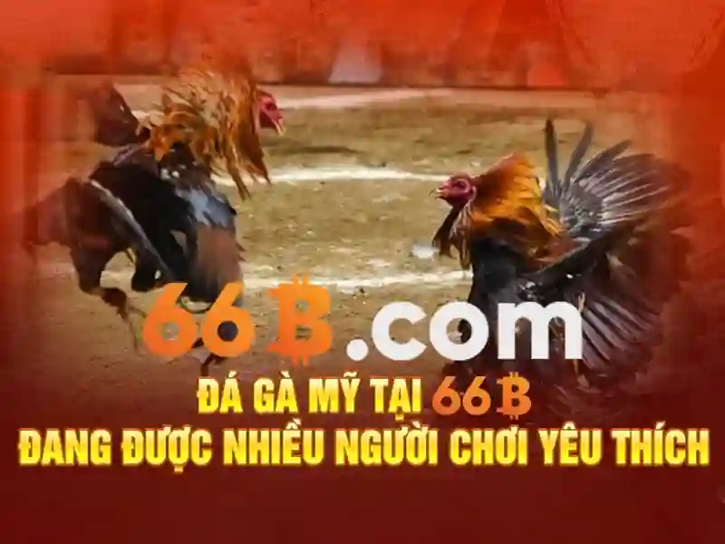 66b là gì và vai trò của nó trong trí tuệ nhân tạo