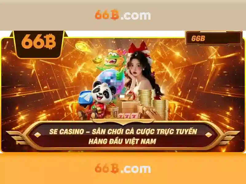 66B là gì?