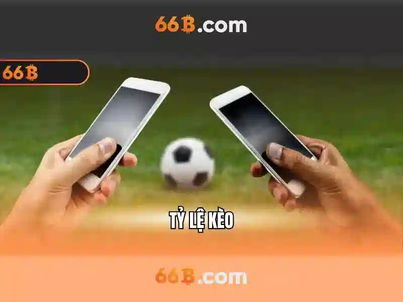 Giới thiệu về 66B