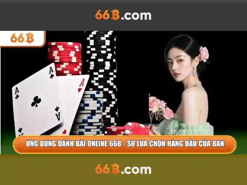He thong san pham da dang tai 66b giup dai ly de dang thu hut khach hang
