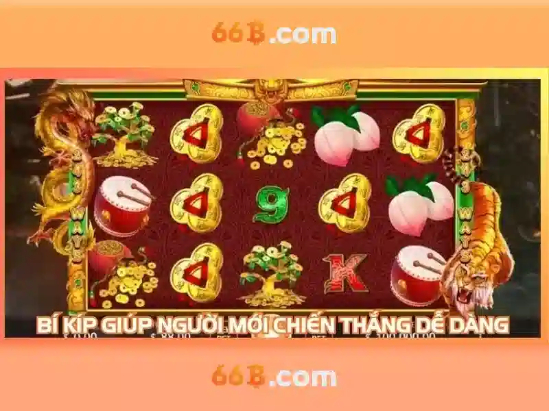 66b_overview