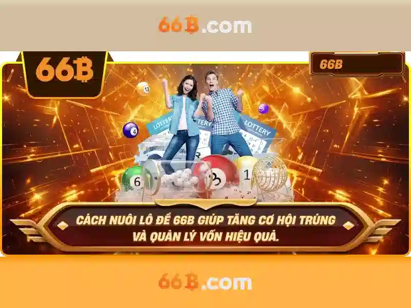 66b và cộng đồng người dùng