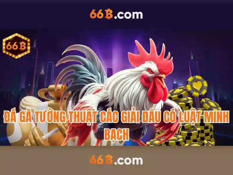 66B là gì và tại sao nó quan trọng