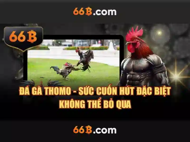 66b: Nền tảng AI quy mô 66 tỷ tham số