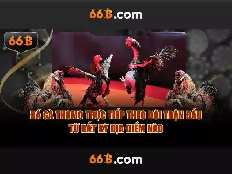 Giới thiệu về 66b