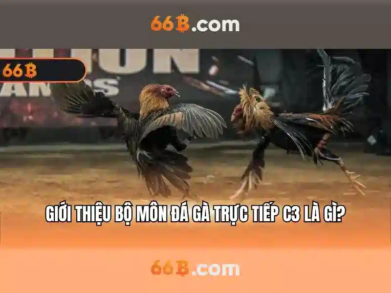66b: Đánh giá mô hình ngôn ngữ 66 tỷ tham số