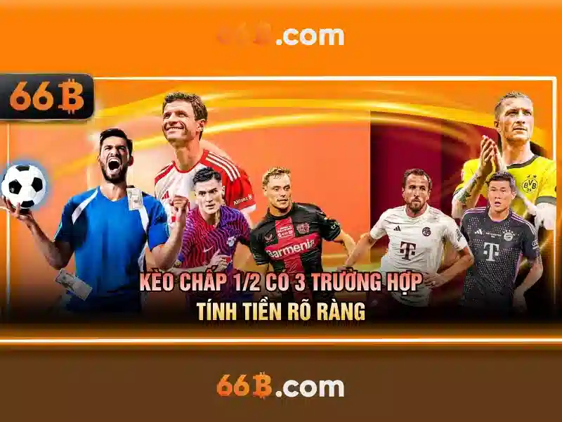 66B: Mô hình ngôn ngữ lớn 66 tỷ tham số và những ảnh hưởng của nó
