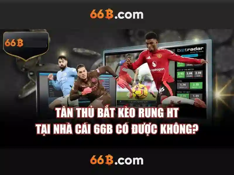 66B là gì?