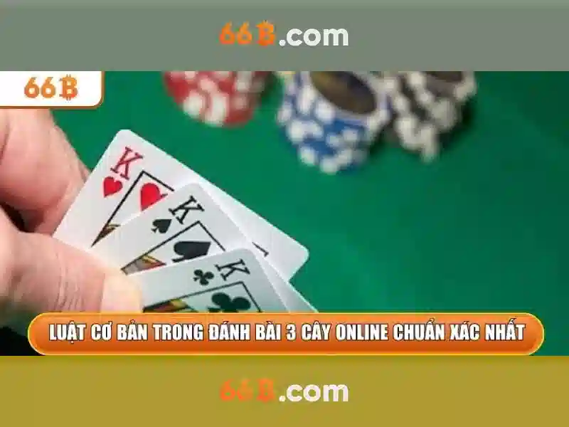 Trải nghiệm người dùng và phản hồi cộng đồng