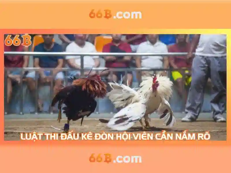 San pham va dich vu cua 66b games