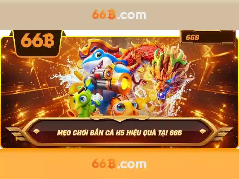 66B là gì?