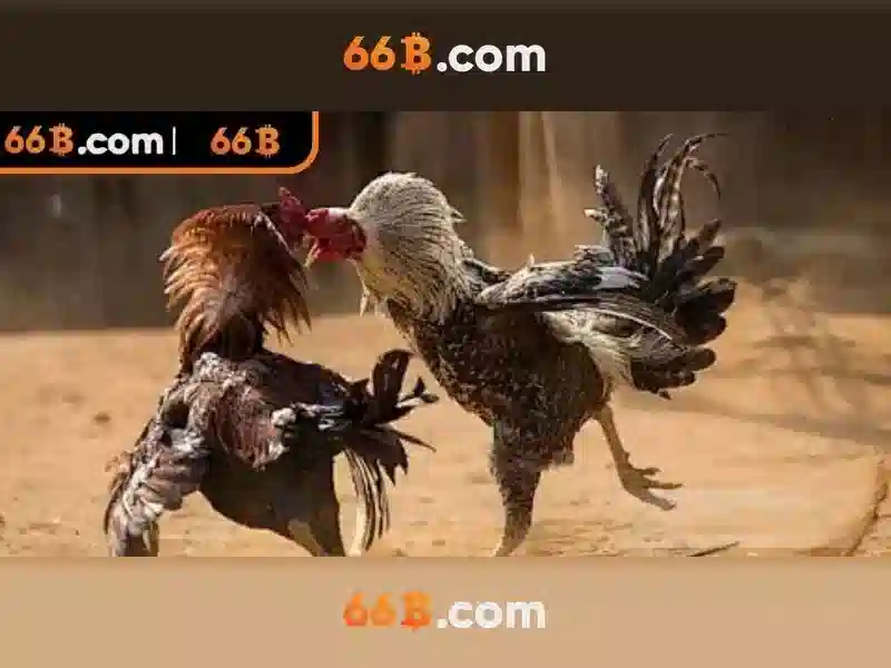 66b: một mô hình ngôn ngữ quy mô lớn