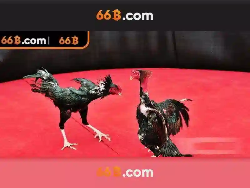 66b: Định nghĩa và ứng dụng trong công nghệ