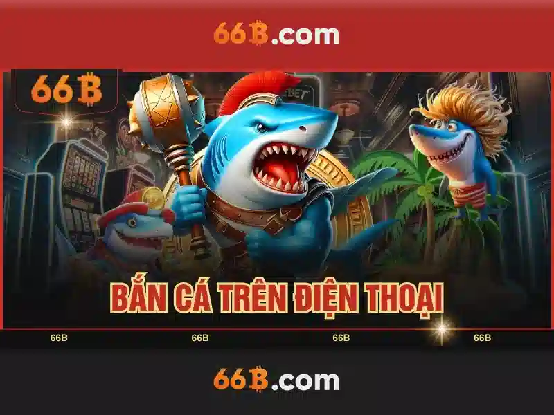 66b là gì?