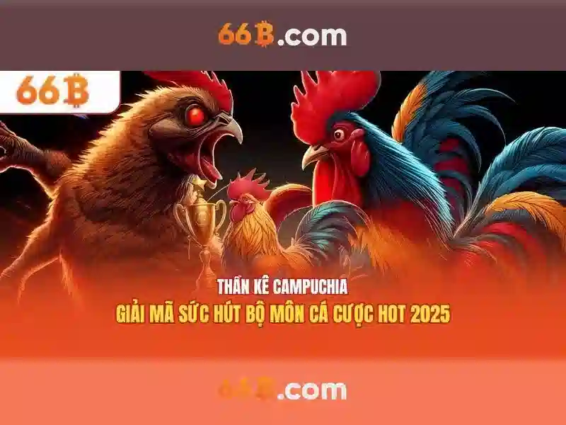66b: Giới thiệu và tiềm năng