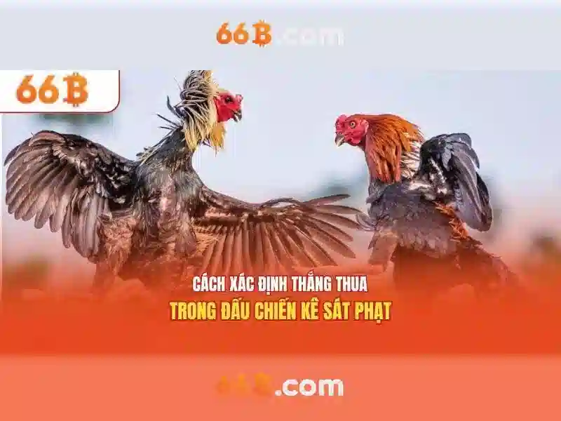 66B: Mô hình ngôn ngữ quy mô lớn và tương lai của trí tuệ nhân tạo