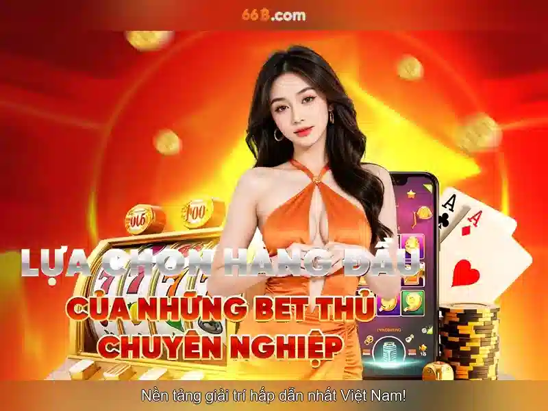 66b: một khái niệm và hành trình khám phá
