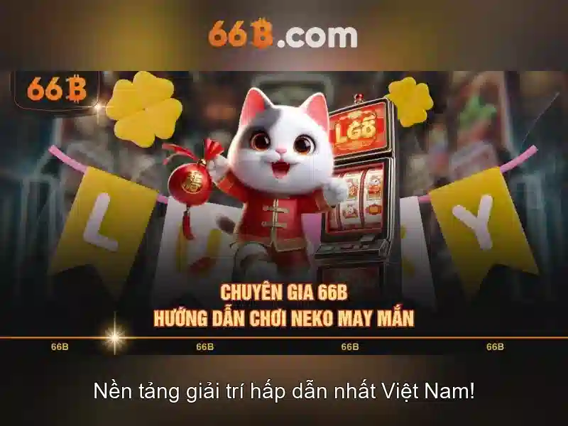Các đặc điểm nổi bật của 66B