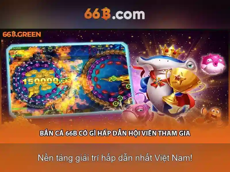 66b là gì?