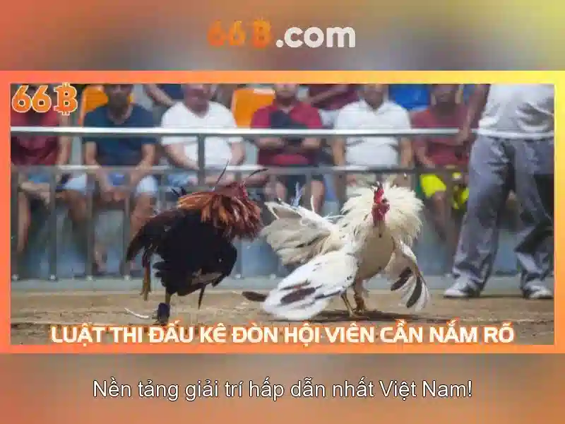 Đánh giá hiệu suất và thách thức
