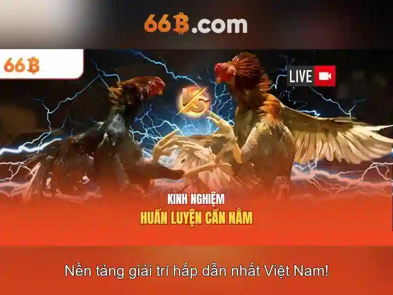 66b: Khám phá một khái niệm công nghệ mới