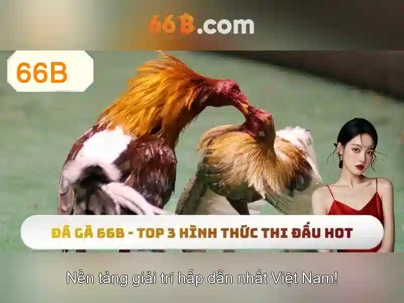 Khung công nghệ của 66b