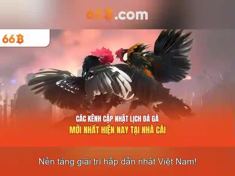 Ứng dụng và thách thức