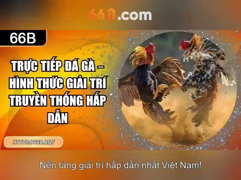 Ứng dụng và thách thức