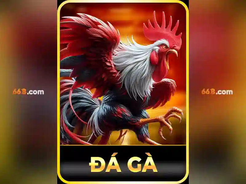 66b là gì?