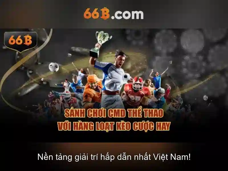 Đặc điểm chính của 66B