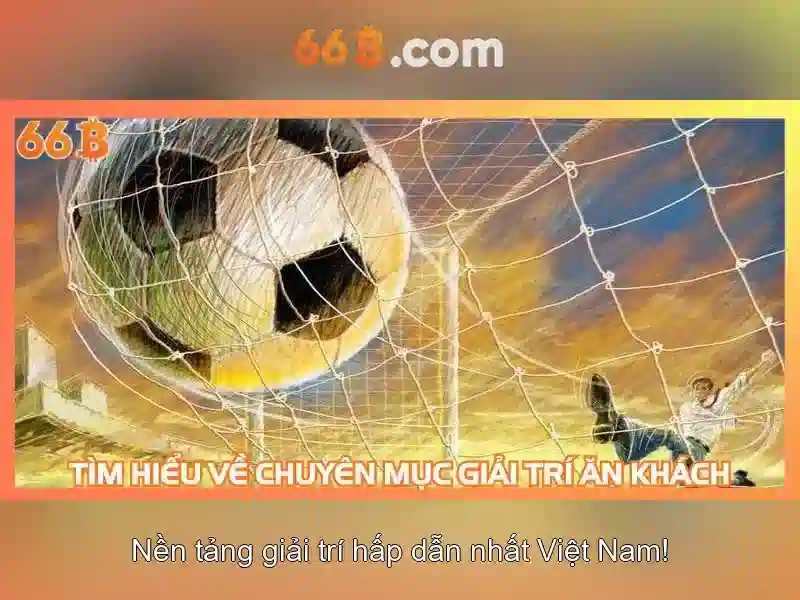 Giới thiệu về 66B