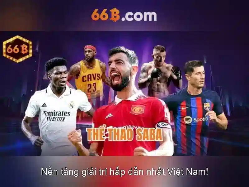 Giới thiệu về 66b