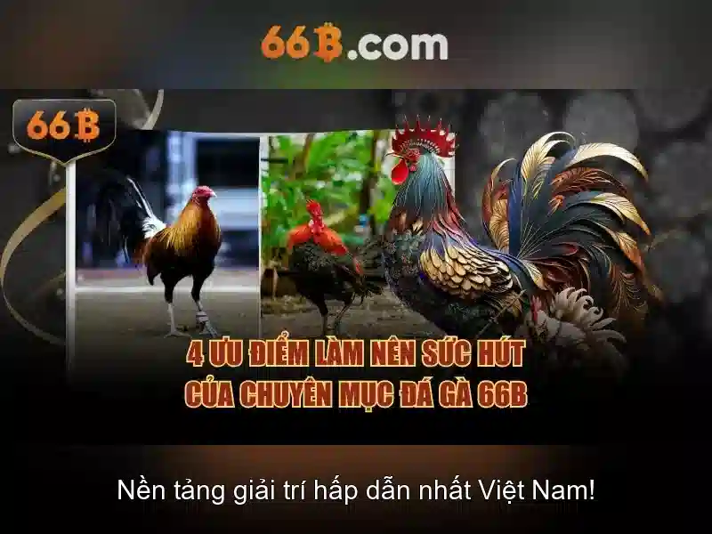 Ứng dụng thực tiễn của 66b