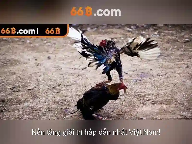 Cấu hình 66b và cách huấn luyện