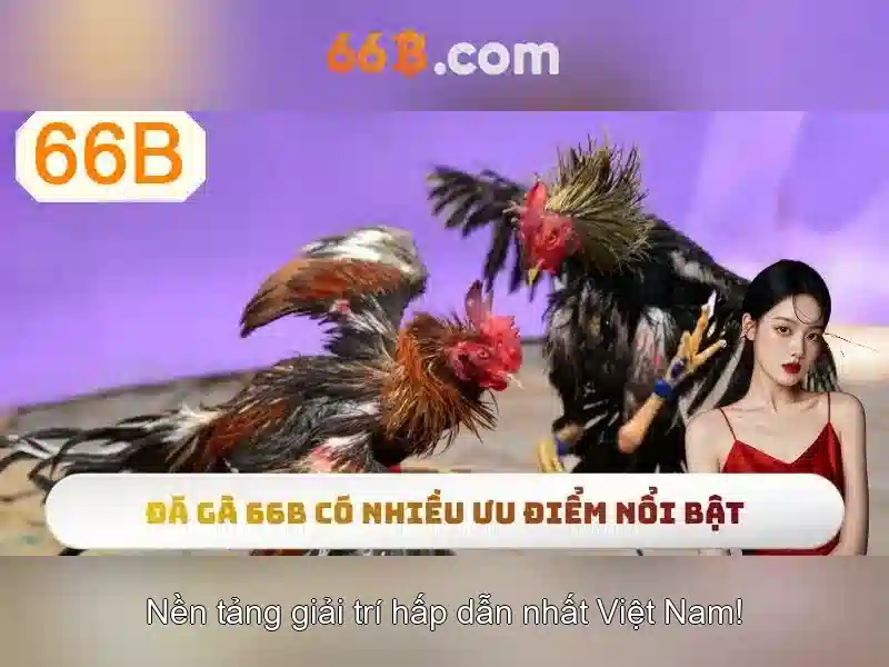 Tiềm năng tương lai của 66B