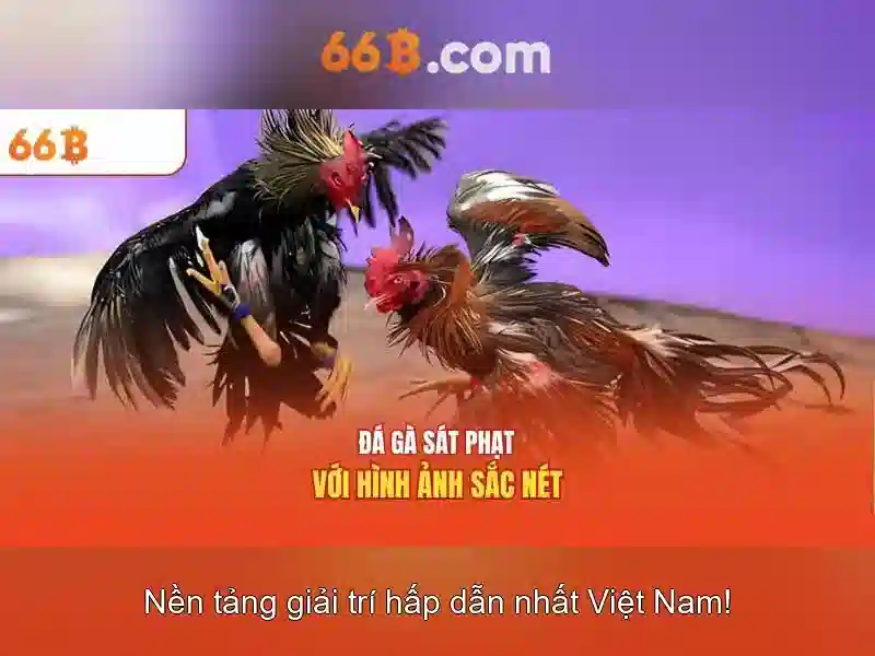 66B: Mô hình ngôn ngữ 66 tỷ tham số và tác động của nó