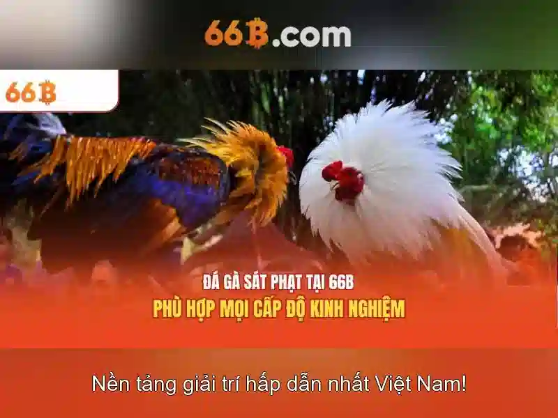 66b: Khám phá mô hình ngôn ngữ 66b và tiềm năng của nó