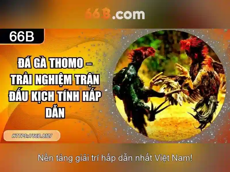 section 66b of it act – Trải nghiệm người dùng và phản hồi