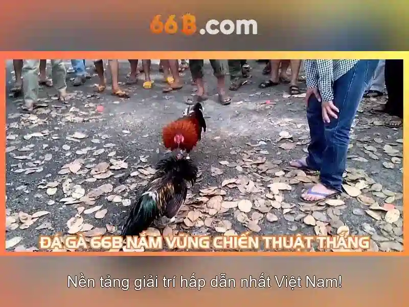 66b: một khái niệm công nghệ mới