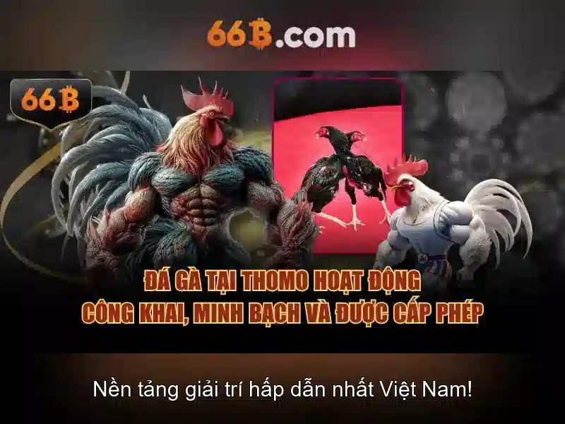 66B: Định nghĩa và tiềm năng của mô hình ngôn ngữ lớn 66 tỷ tham số