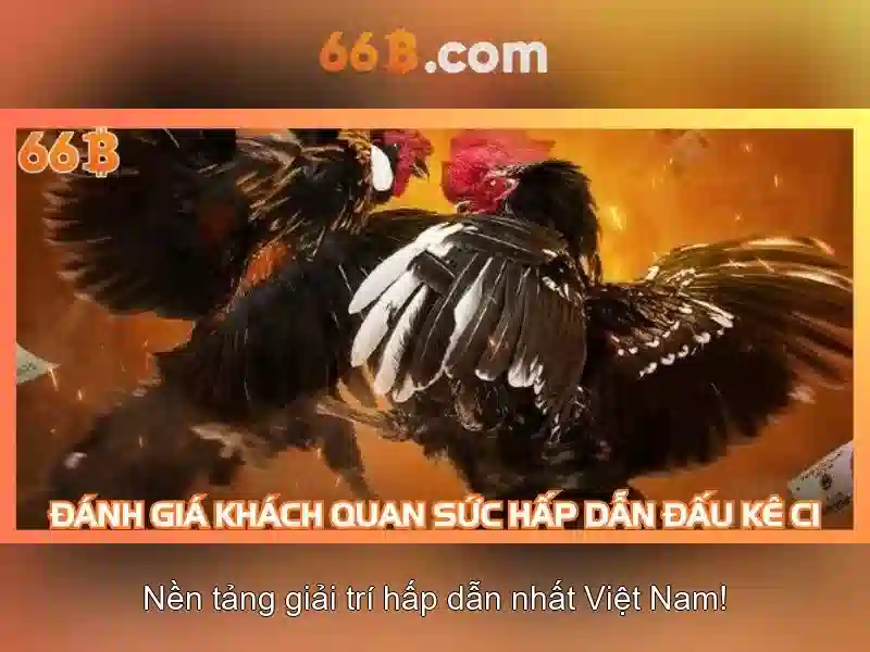 66b club – Nền tảng chiến lược và giao dịch tối ưu