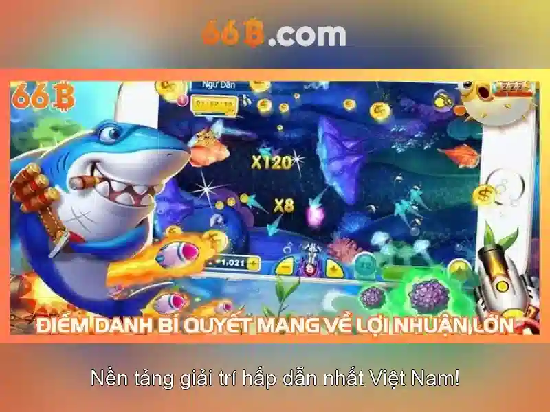 66B là gì và vì sao nó quan trọng