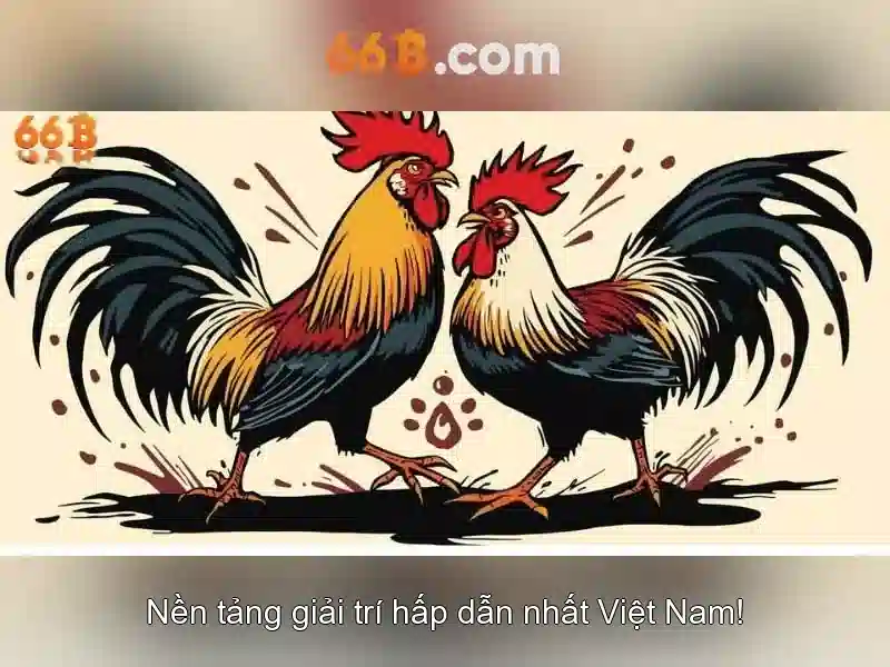Cách hoạt động của 66b