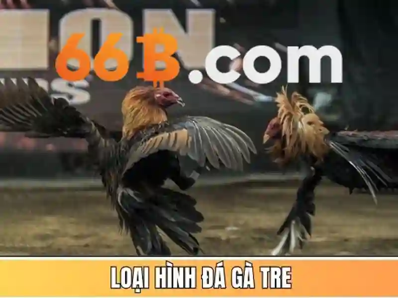Cấu trúc và tham số