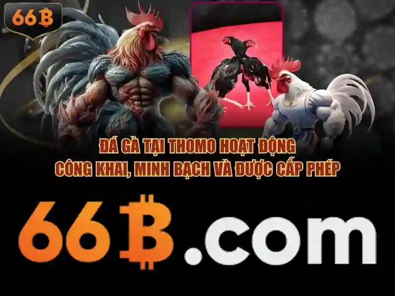 66b nguyễn sĩ sách phường 15 quận tân bình – trải nghiệm thương hiệu