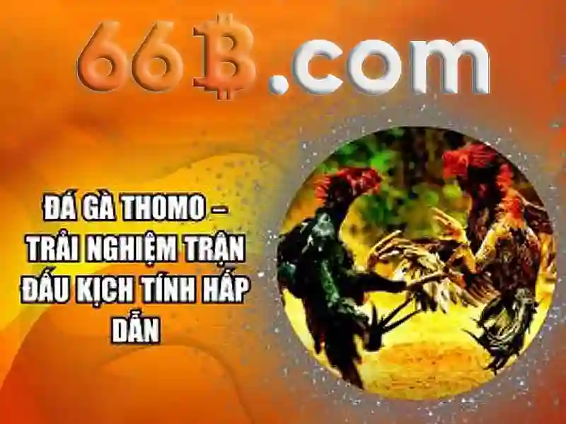 66B: Nhìn nhận tổng quát về một mô hình ngôn ngữ 66 tỷ tham số