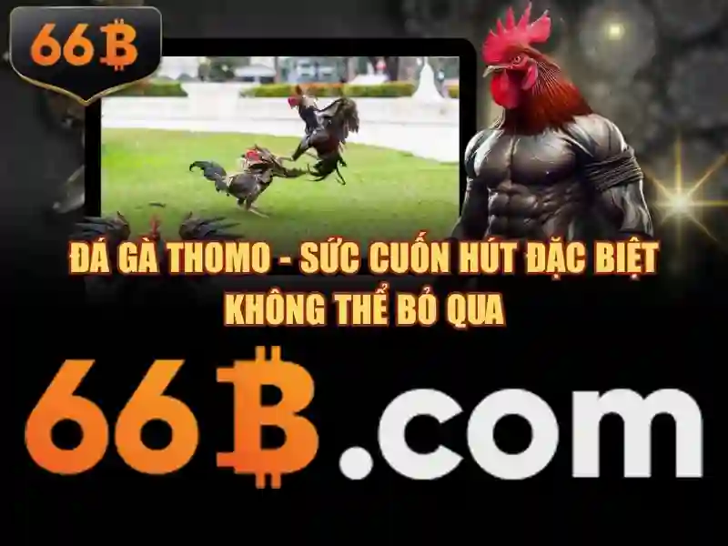 Sa18-66b-ae: Tinh hoa thương hiệu và trải nghiệm sa18-66b-ae