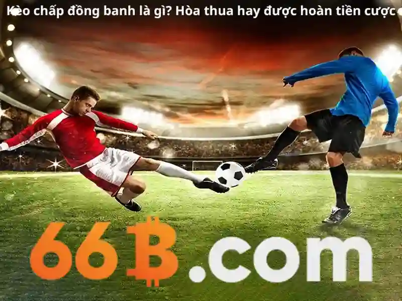 Tương lai của 66B