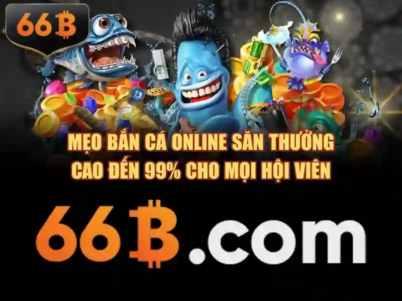 Trải nghiệm người dùng và Phản hồi cộng đồng
